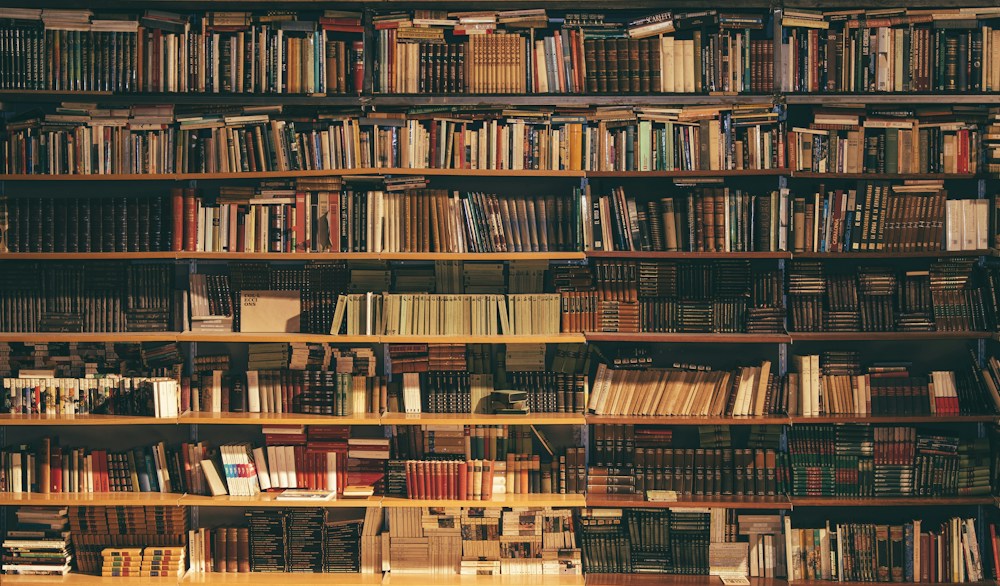 Demo stock photograph for Library & self-study
